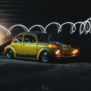 beetle 09.jpg